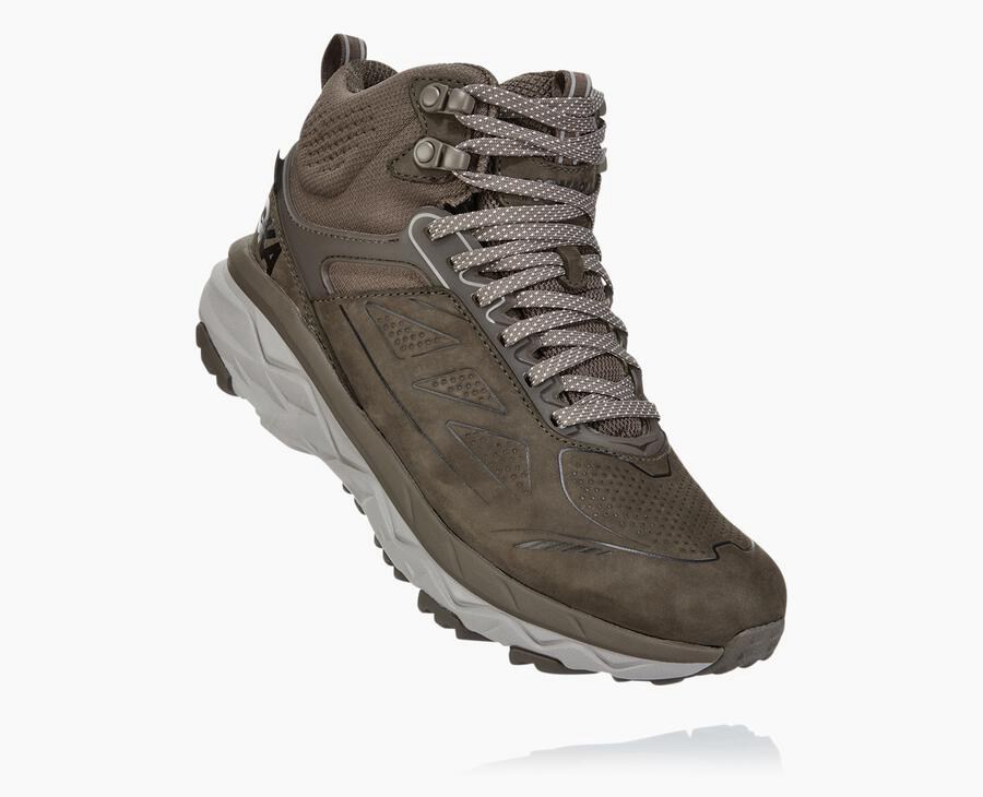 Hoka One One Challenger Mid Gore-Tex Vandringsskor Dam - Bröst - PTHAY-2510